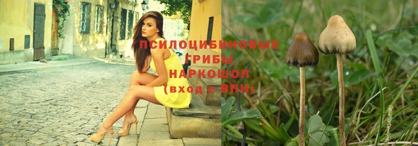 дурь Карталы