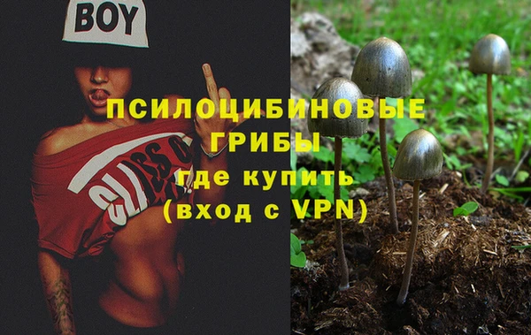 дурь Карталы